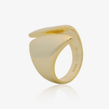 Anillo Escudo