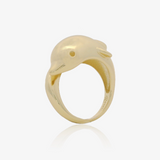 Anillo Delfín