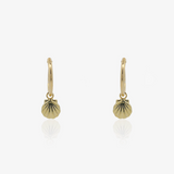 Pendientes Aro Concha