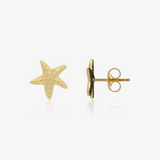Pendientes Estrella De Mar