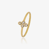 Anillo Corina