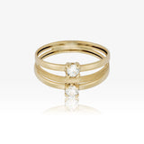 Anillo Doble