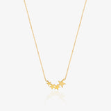 Star climbers necklace.