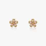 Pendientes Carla