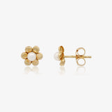 Pendientes Carolina