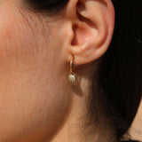 Pendientes Aro Concha